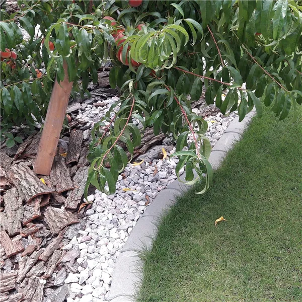 SEMMELROCK TRÁVNÍKOVÝ OBRUBNÍK / 22x12x4 cm, se zkosenou hranou, hladký povrch, oblé zakončení - šedá