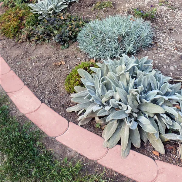 SEMMELROCK TRÁVNÍKOVÝ OBRUBNÍK / 22x12x4 cm, se zkosenou hranou, hladký povrch, oblé zakončení - červená