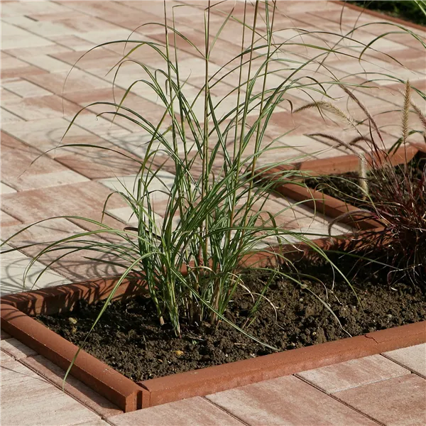 SEMMELROCK ZAHRADNÍ OBRUBNÍK / 50x5x20 cm, horní plocha oblá - červená