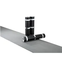 BAUDER / PYE G 200 S5 - minerální posyp (1 × 5 m = 5 m²)