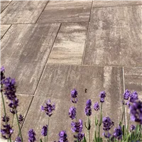 SEMMELROCK CITYTOP Grande kombi / dlažba s mikro zkosenou hranou, výška 6 cm - hnědý mix