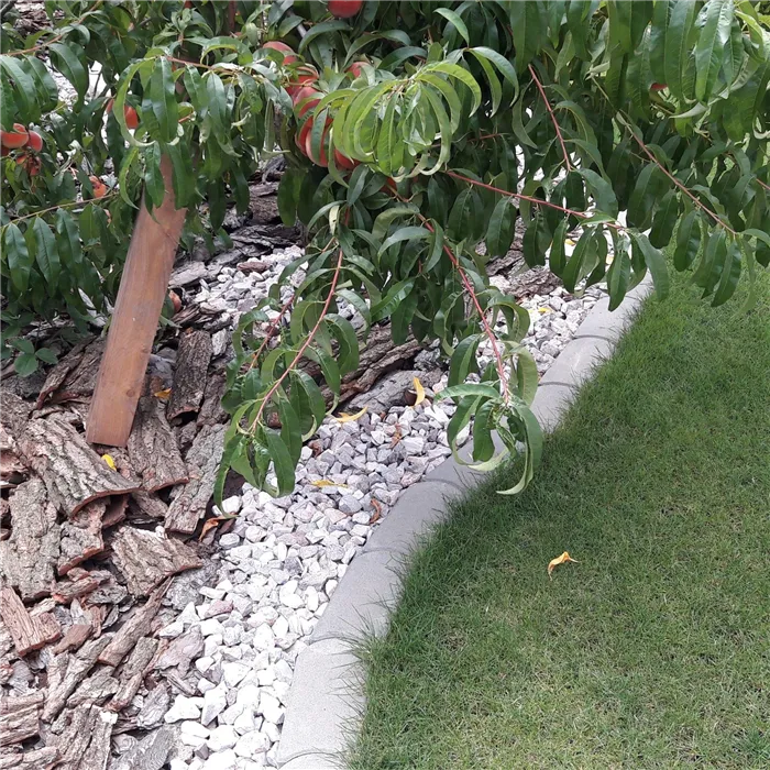 SEMMELROCK TRÁVNÍKOVÝ OBRUBNÍK / 22x12x4 cm, se zkosenou hranou, hladký povrch, oblé zakončení - šedá