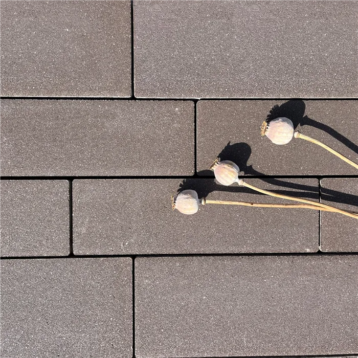 SEMMELROCK ASTI Natura Kombi protect / dlažba s hladkým povrchem bez zkosené hrany, výška 7 cm, PaveLock System - třpytivě hnědá