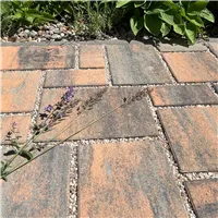 SEMMELROCK CITYTOP Eko Kombi protect / dlažba se zkosenou hranou, výška 6 cm - grafitovorezavá