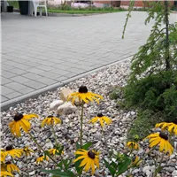 SEMMELROCK CITYTOP Obdélník / dlažba se zkosenou hranou 20x10x6 cm - šedá