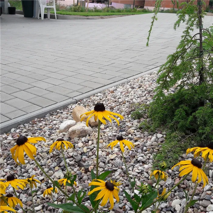 SEMMELROCK CITYTOP Obdélník / dlažba se zkosenou hranou 20x10x6 cm - šedá