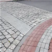 SEMMELROCK DLAŽBA PRO NEVIDOMÉ / obdélník 20x10x6 cm - červená