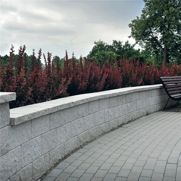 SEMMELROCK NARDO / dlažba se zkosenou hranou 20x10x4 cm - šedá