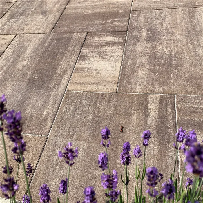 SEMMELROCK CITYTOP Grande kombi protect / dlažba s mikro zkosenou hranou, výška 6 cm - hnědý mix