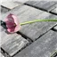 SEMMELROCK CITYTOP Eko Kombi protect / dlažba se zkosenou hranou, výška 6 cm - bíločerná