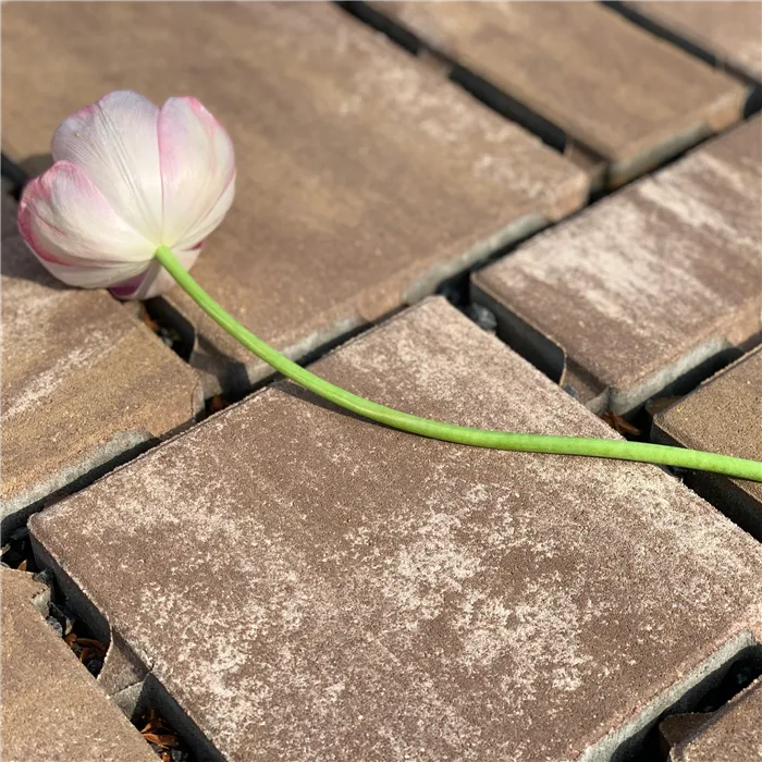 SEMMELROCK CITYTOP Eko Kombi protect / dlažba se zkosenou hranou, výška 6 cm - hnědý mix