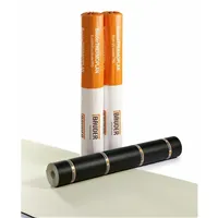 BAUDER / FPO / THERMOPLAN T20 (1,5 × 20 m = 30 m²) - perleťově bílá